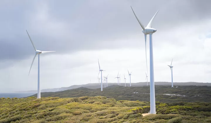 Cursos Profissionais de Ambiente e Sustentabilidade