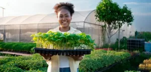 Destaque - Curso de Agricultura Biológica e Sustentável